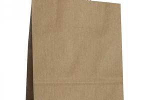 BOLSA de PAPEL ANDINA KRAFT LISO 18x24x8 cm CRUDO/NATURAL PA