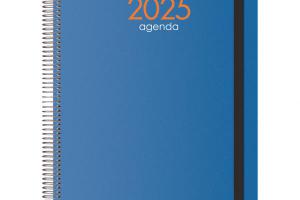 AGENDA SYNCRO Día página 21X29cm. Azul