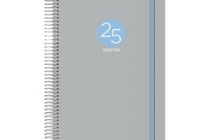 AGENDA MEMPHIS Día página 15x21cm. Gris 